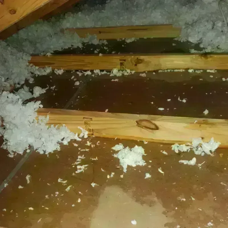 Attic Water Damage in Olcott, NY